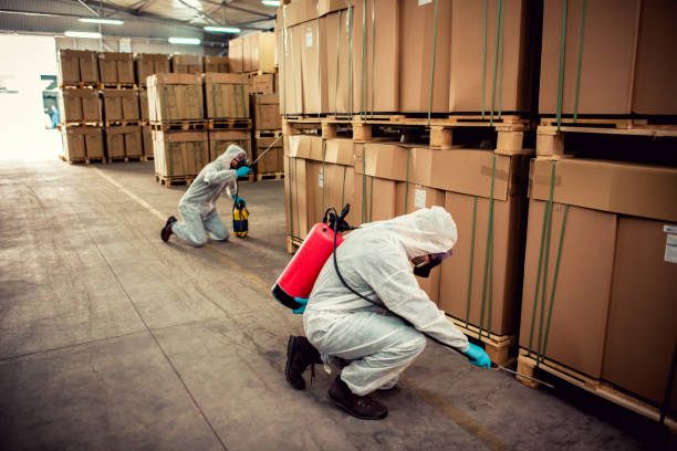 Best Termite Control Services  in Carrizozo, NM