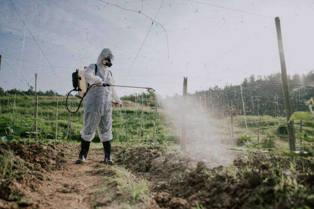 Best Pest Removal Services  in Carrizozo, NM