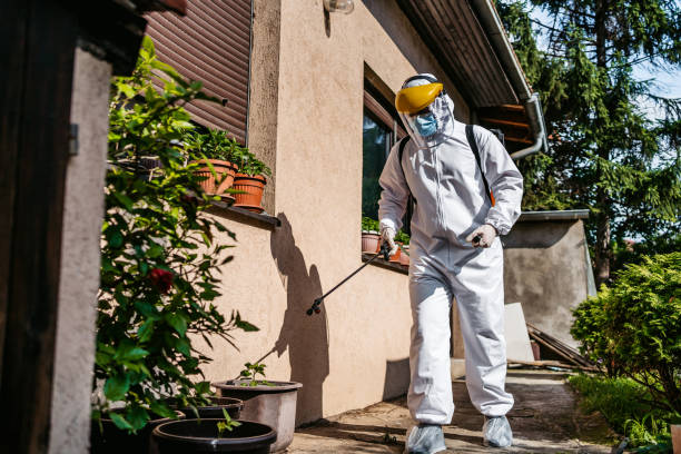 Best Cockroach Control Services  in Carrizozo, NM