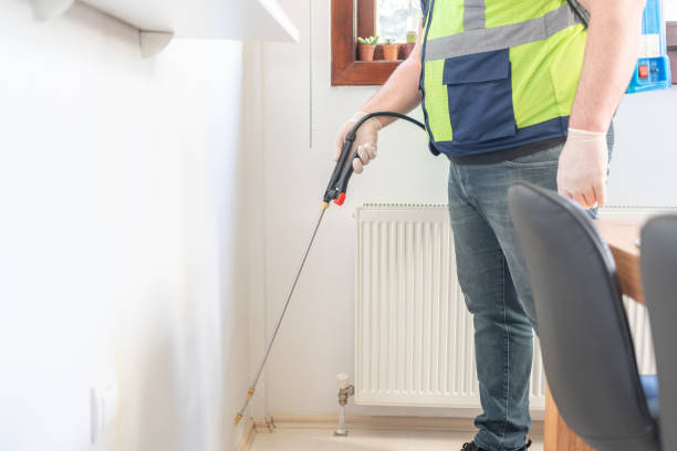 Best Pest Inspection Near Me  in Carrizozo, NM