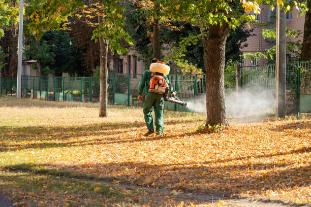 Best Best Pest Control Companies  in Carrizozo, NM